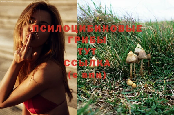прущие крисы Алексин