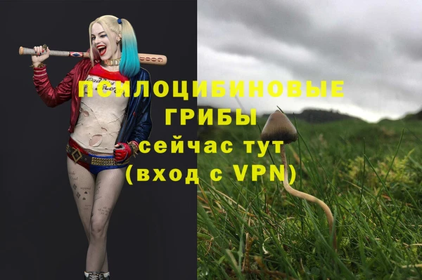 гидра Алзамай