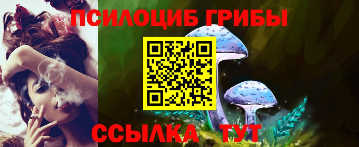 Псилоцибиновые грибы мухоморы Чапаевск